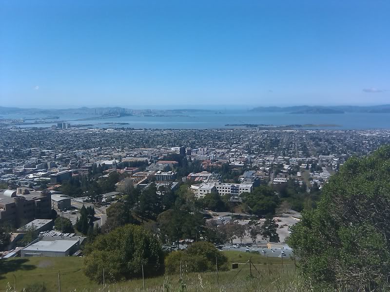 IMG_20120414_120704.jpg