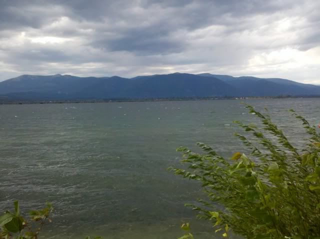 2010-08-22_16-40-38_575.jpg