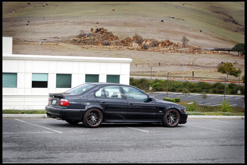Wanna see the best looking e39 m5 5 series Bimmerforums The Ultimate BMW 