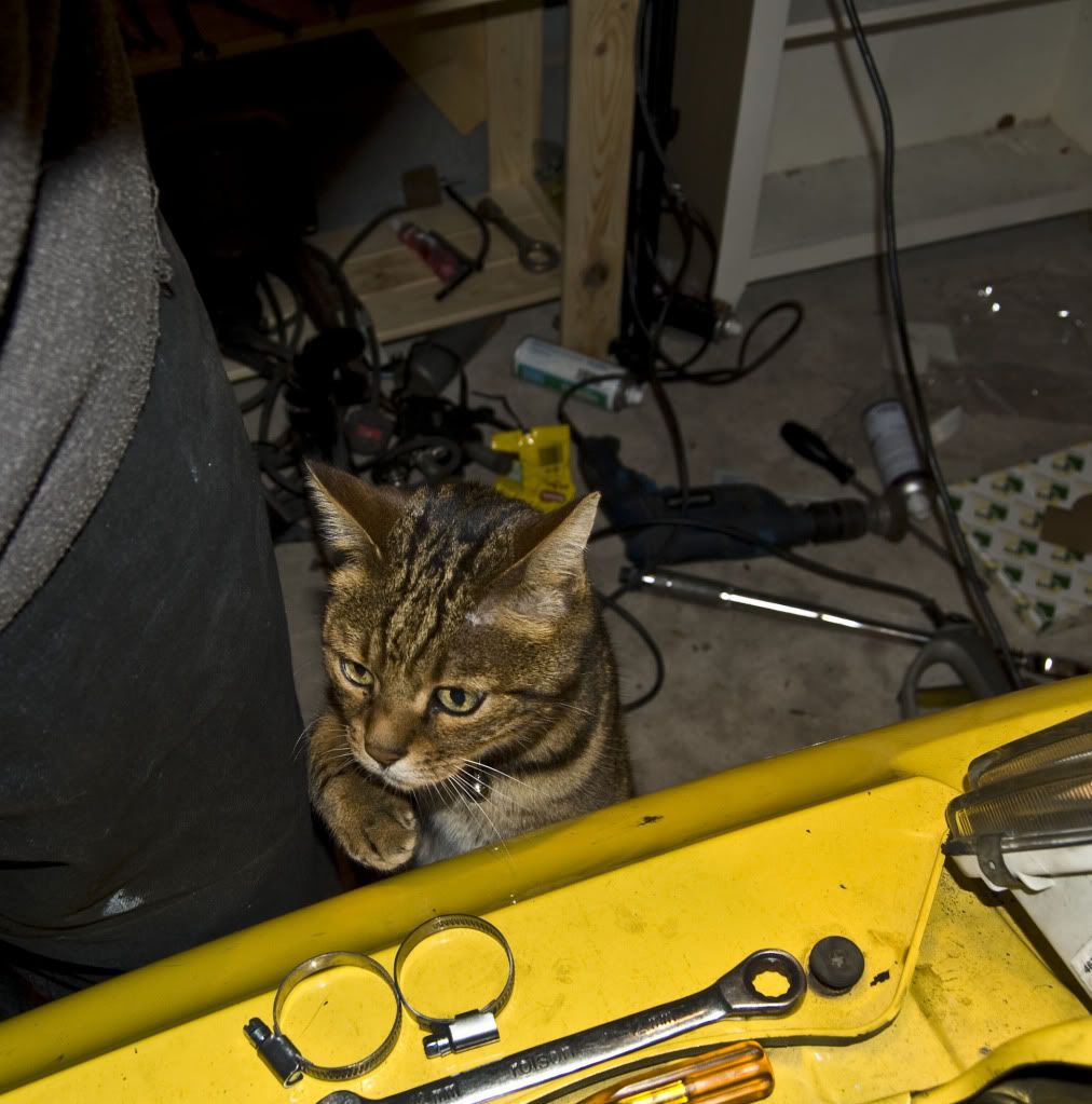 DSC_1899.jpg