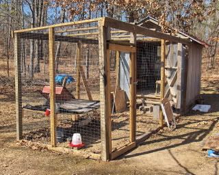 Chapel Yard ChickenPenandCoop.jpg