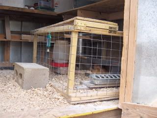 Broody or Isolation Pen IsolationorBroodPenViewfromRun.jpg