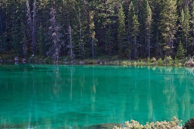 Valley of the Five Lakes, Jasper NP Photobucket