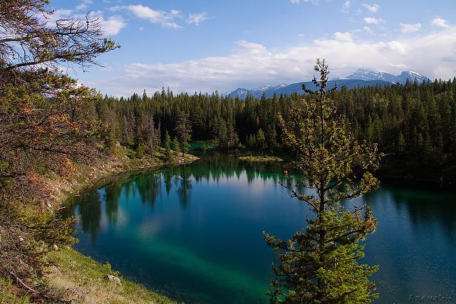 Valley of the Five Lakes, Jasper NP Photobucket