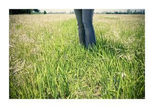 feet grass Pictures, Images and Photos
