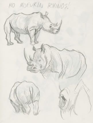 Rhinos002.jpg