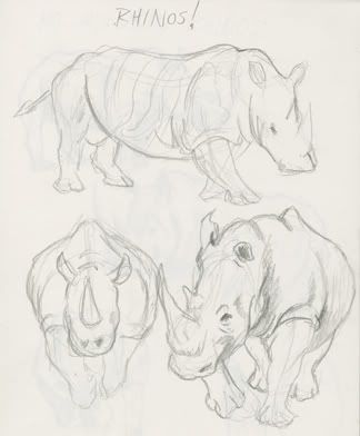 Rhinos01.jpg