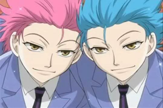 Hikaru and Kaoru Hitachiin (OHSHC)