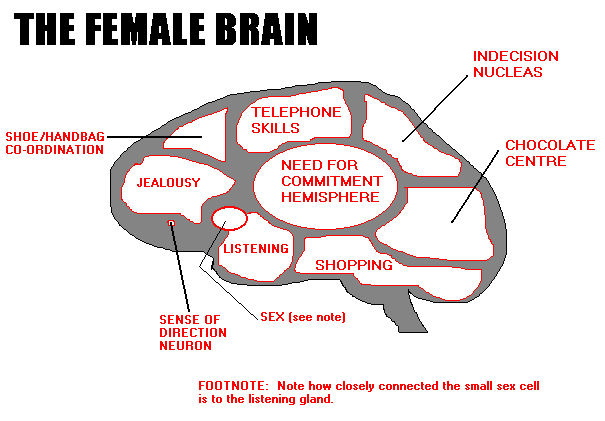 funny brain. funny brain.