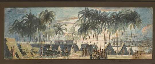 Honolulu1816Choriscolor.jpg