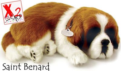StBernard.jpg