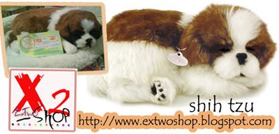 shihtzu.jpg