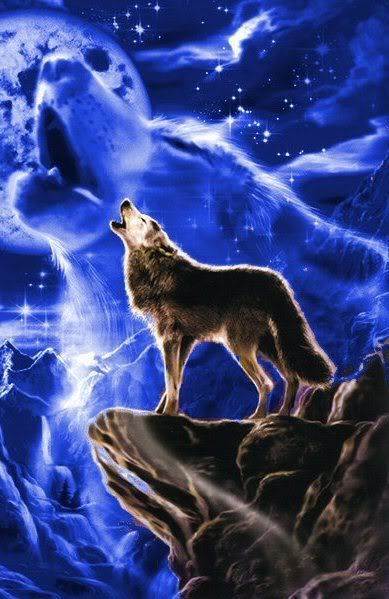 Wolf Moon Spirit