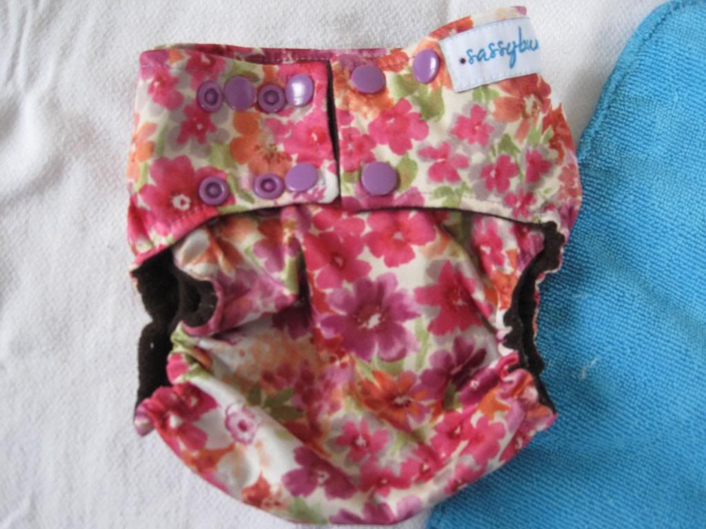Sassybumz pocket diaper, medium, PPD to US Sassybumz pocket diaper, medium, PPD to US