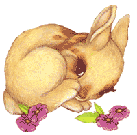  photo easter-bunny-with-flowers-source_o8h.gif