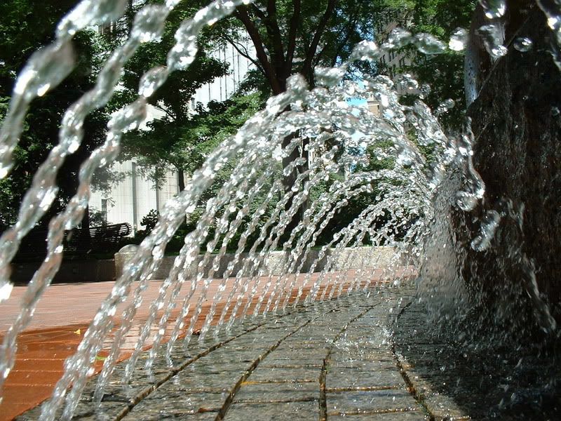 IMAGE: http://i85.photobucket.com/albums/k77/GMACK24/Photography/DSCF0012.jpg