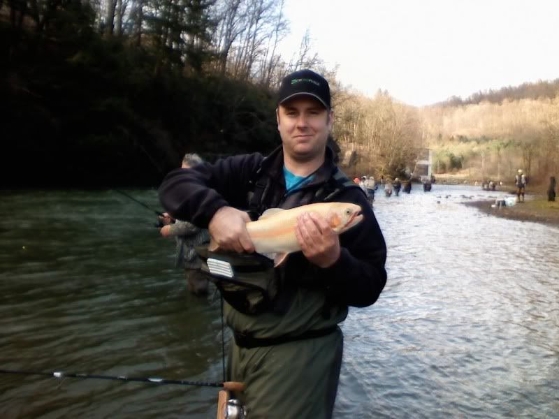 Palomino trout caught @ the Yough.