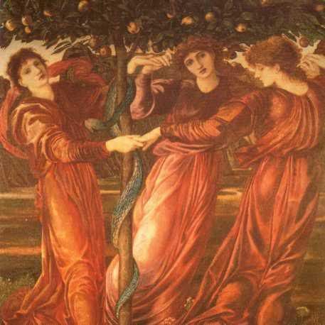 nymphs Pictures, Images and Photos