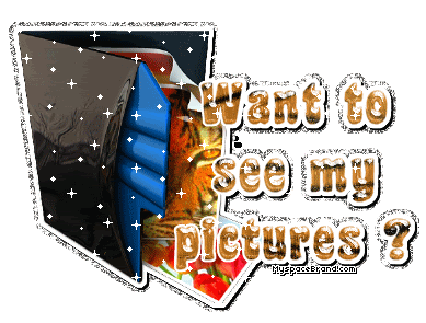 Myspace Layouts, Myspace graphics
