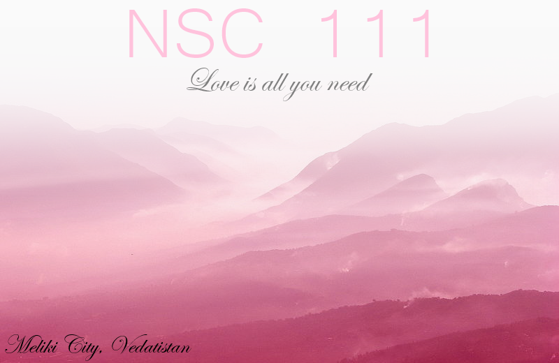 NSC111Logo-3.png