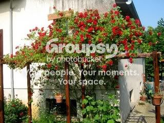 Photo Sharing and Video Hosting at Photobucket