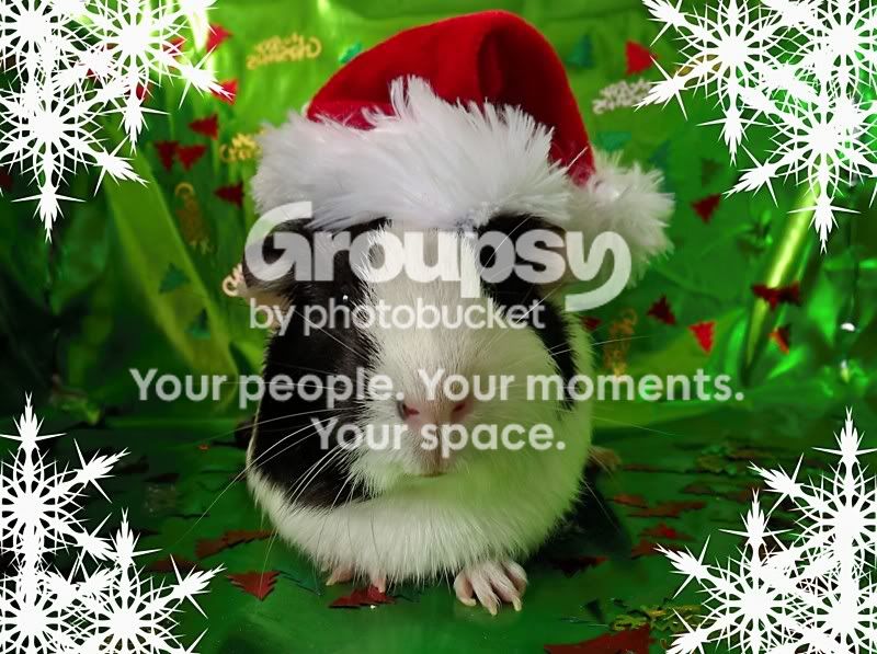 christmasG.jpg