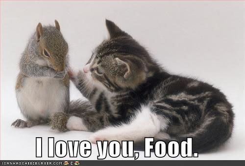 food Pictures, Images and Photos