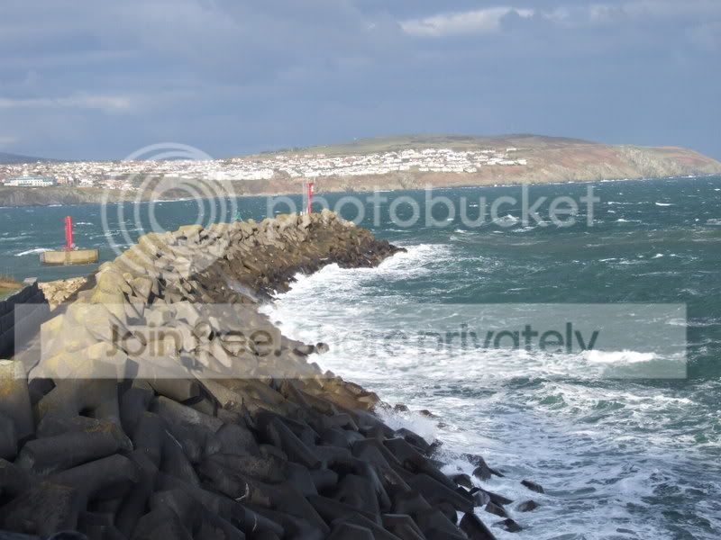 DSCF2105.jpg