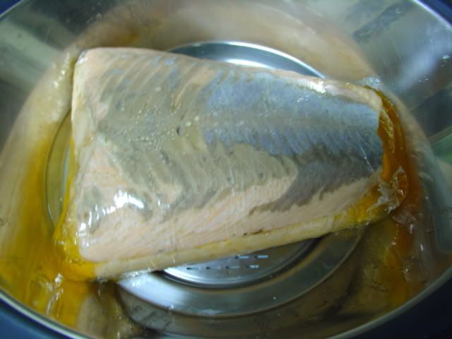 DSC05793.jpg
